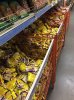 StoreGenerics.ru-Дженерики-все для ПКТ - Бодибилдинг форум AnabolicShops