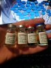 Бритиш Драгон в РФ и Украине - Бодибилдинг форум AnabolicShops
