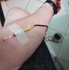 DevilsPharm.in.th - Бодибилдинг форум AnabolicShops