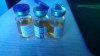 Викинг Фарма. - Бодибилдинг форум AnabolicShops