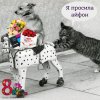 Johnny-Shop.info - Бодибилдинг форум AnabolicShops