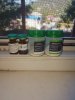 Greenlp.in - распродажа! аас, гр, пептиды,  виагра - Бодибилдинг форум AnabolicShops