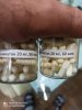 Genetrip Market - Всё для потенции, секса и пкт! - Бодибилдинг форум AnabolicShops