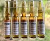 Фармакология, питание и тренировочный процесс - Бодибилдинг форум AnabolicShops