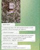 Hilma pro - Мы вернулись! и запустили Акцию! - Бодибилдинг форум AnabolicShops