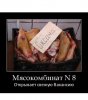 Hilma pro - Мы вернулись! и запустили Акцию! - Бодибилдинг форум AnabolicShops