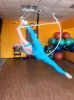 Майская на спорте - Бодибилдинг форум AnabolicShops