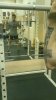 Сено, дорога к кругосветке! - Бодибилдинг форум AnabolicShops