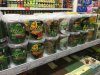 НеПутевые заметки еврейчика Ашера - Бодибилдинг форум AnabolicShops