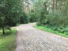 НеПутевые заметки еврейчика Ашера - Бодибилдинг форум AnabolicShops