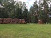 НеПутевые заметки еврейчика Ашера - Бодибилдинг форум AnabolicShops