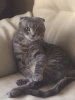 20% Скидка. 3 года на рынке. только качественная фармакология! - Бодибилдинг форум AnabolicShops