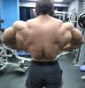MGT выходит на рынок РФ - Бодибилдинг форум AnabolicShops