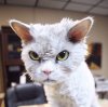 GOODPHARMA.BIZ -  Официальный представитель Vermodje и EPF ! - Бодибилдинг форум AnabolicShops