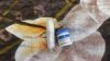 ИЗ РФ - DopingStore.com - Бодибилдинг форум AnabolicShops