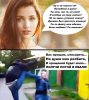Анекдоты обо всем - Бодибилдинг форум AnabolicShops