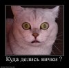 Good-Outlet.ru !!! РФ-РФ Розница по ОПТовым ценам каждую субботу !!!+Подарок в каждый заказ - Бодибилдинг форум AnabolicShops