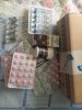 Good-Outlet.ru !!! РФ-РФ Розница по ОПТовым ценам каждую субботу !!!+Подарок в каждый заказ - Бодибилдинг форум AnabolicShops