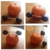 Fruitlabs.org   Всегда отличные цены, отменное качество и быстрые отправки ! - Бодибилдинг форум AnabolicShops