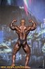 Европа Феникс про 2017 - Бодибилдинг форум AnabolicShops