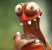 Droock