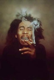 rasta011